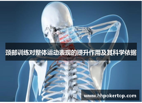 颈部训练对整体运动表现的提升作用及其科学依据